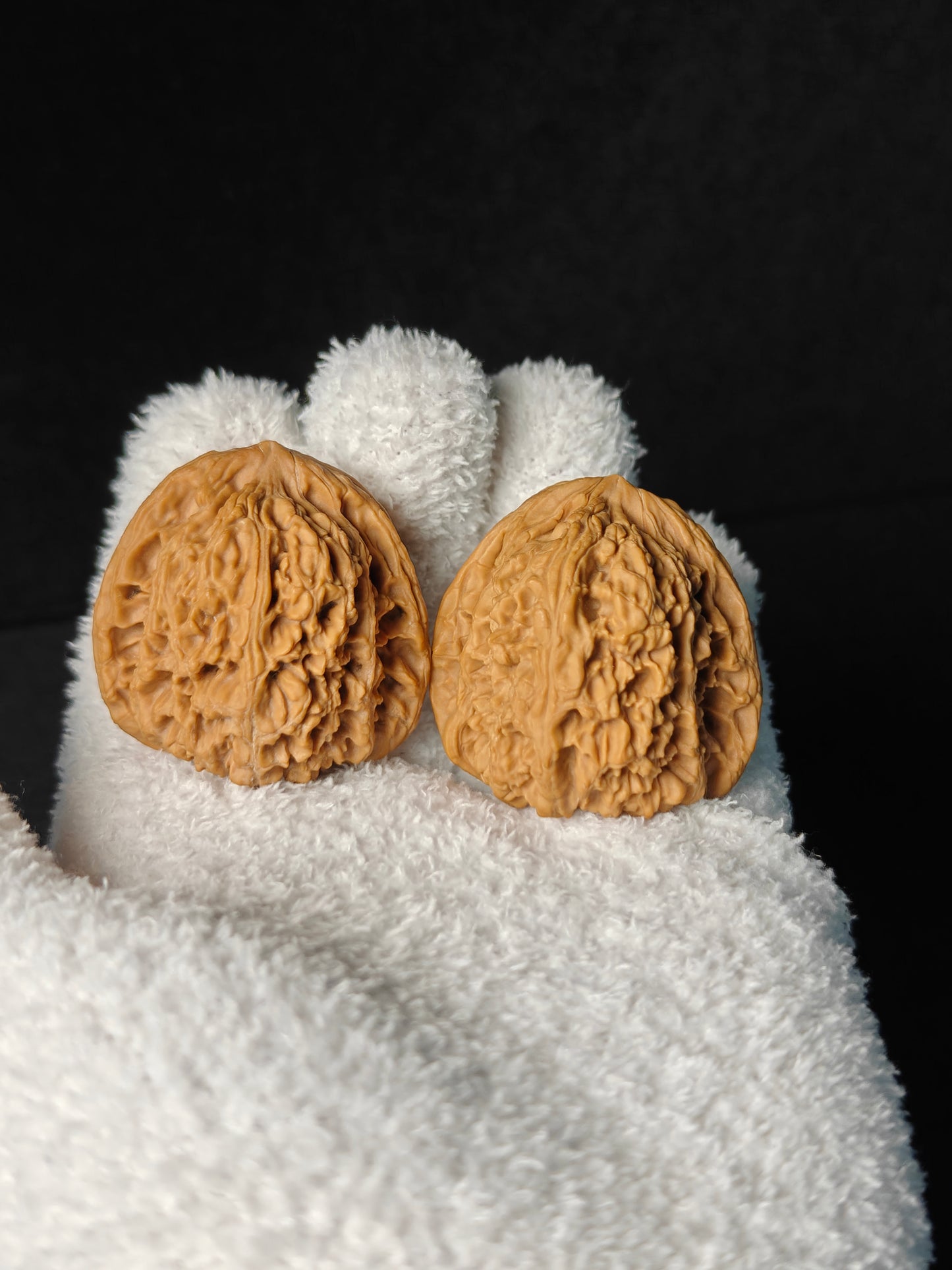 Wenwan Walnut "NanJiangShi" #001