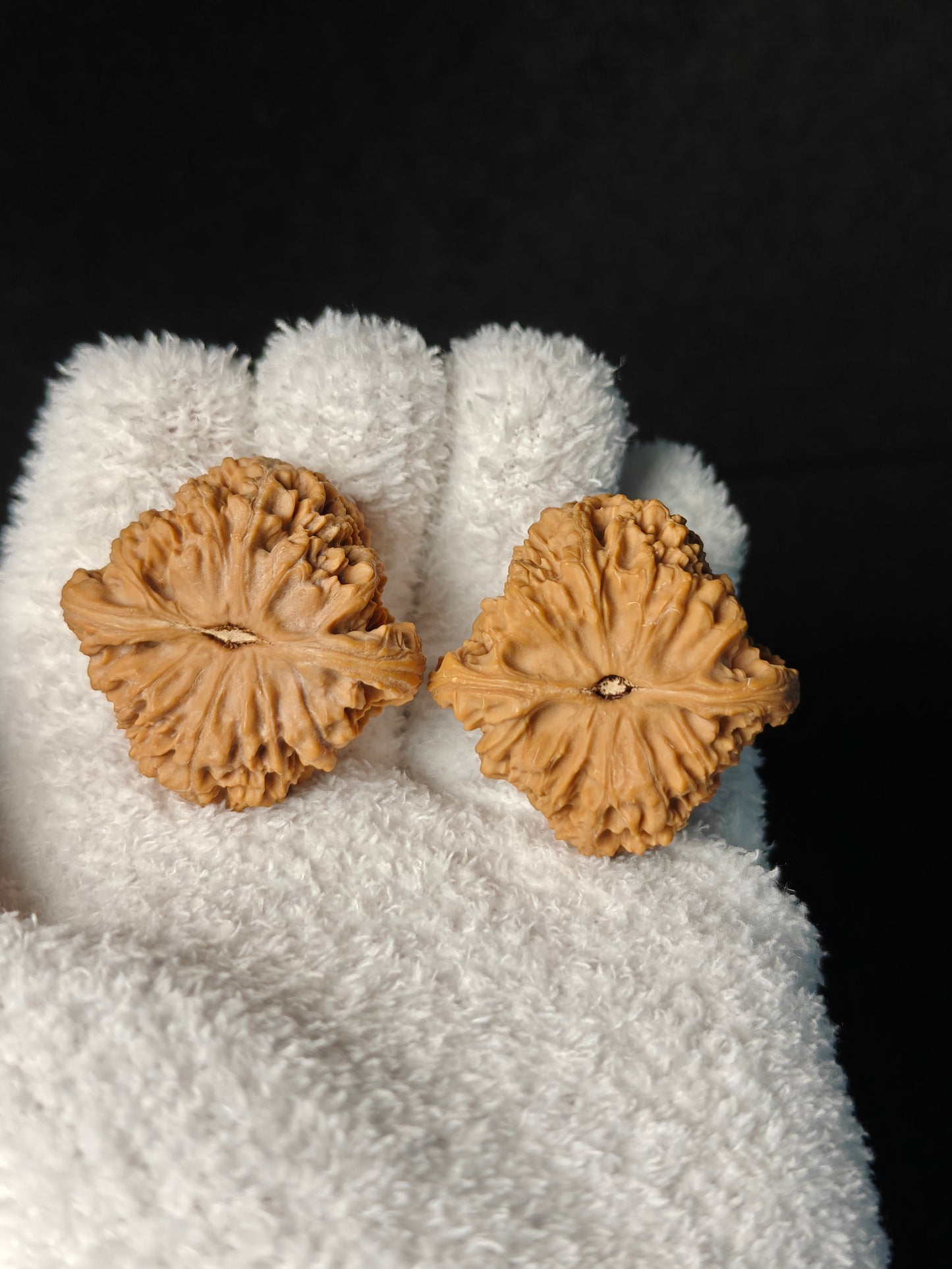 Wenwan Walnut "NanJiangShi" #001