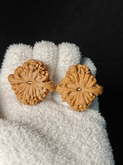 Wenwan Walnut "NanJiangShi" #001