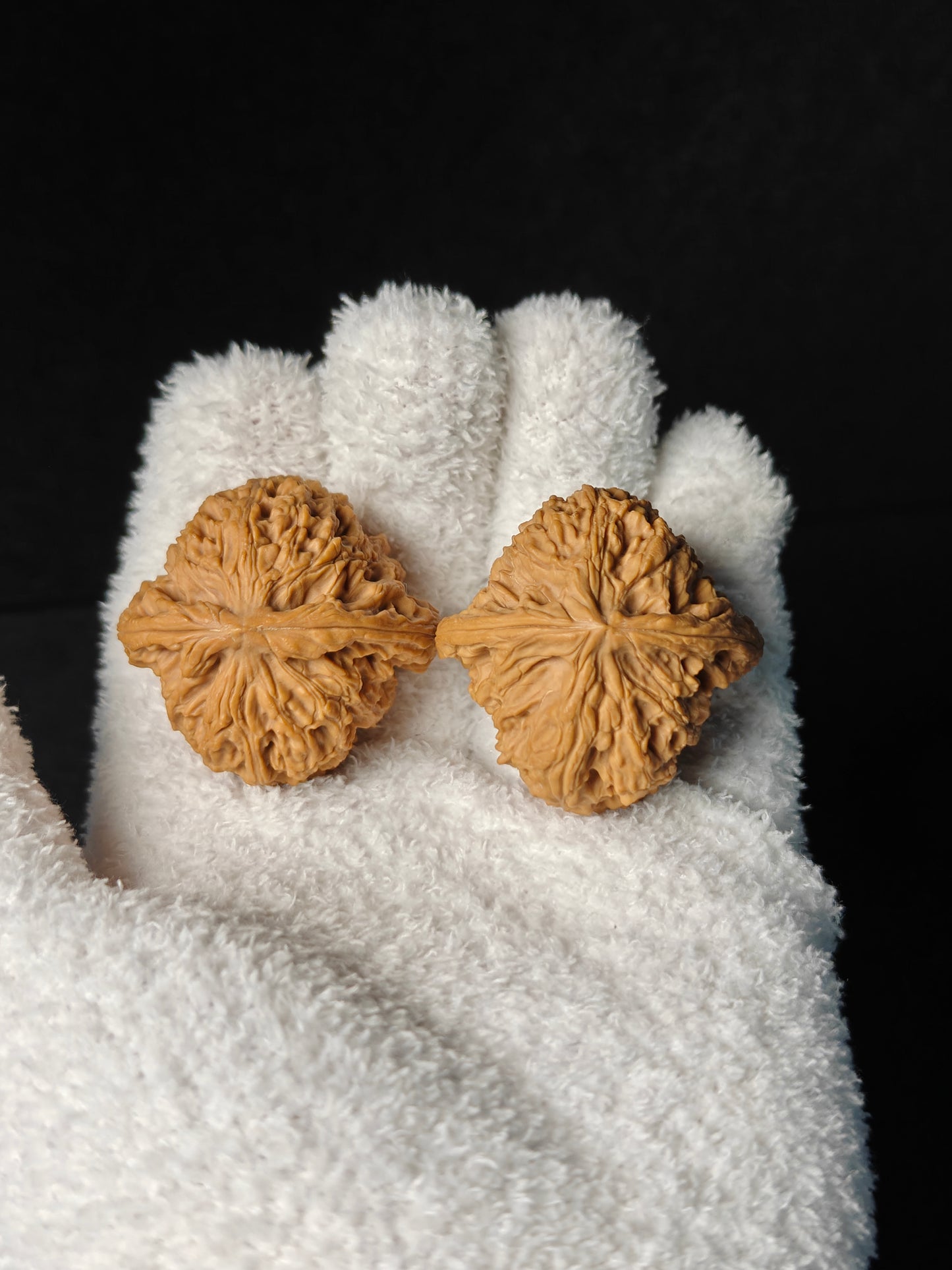 Wenwan Walnut "NanJiangShi" #001