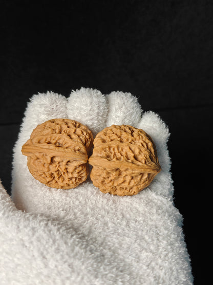 Wenwan Walnut "NanJiangShi" #001